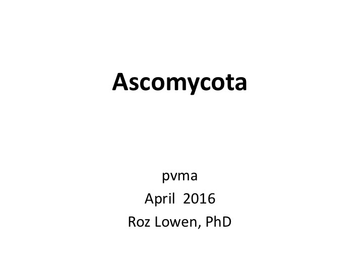 Slide001