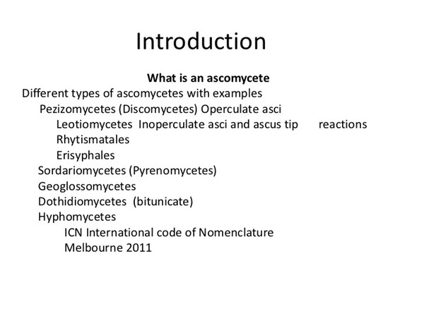 Slide002
