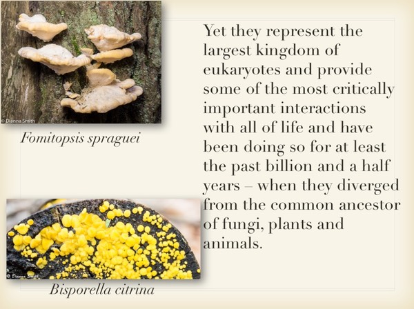 Slide003