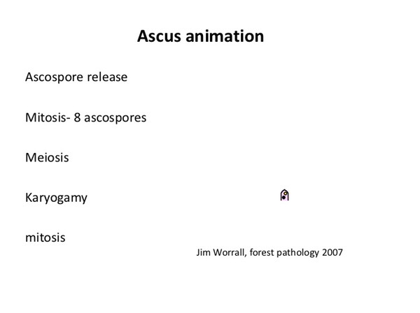 Slide006
