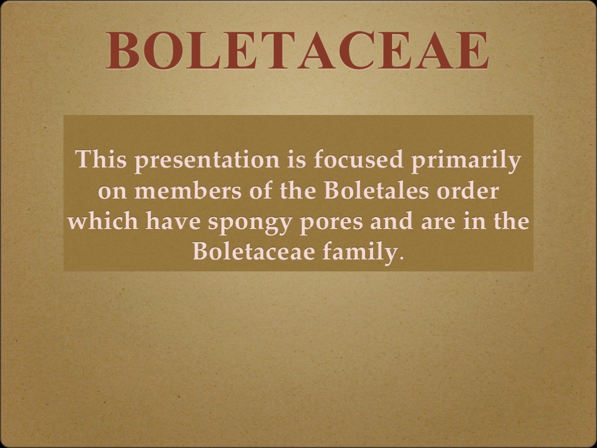Slide01
