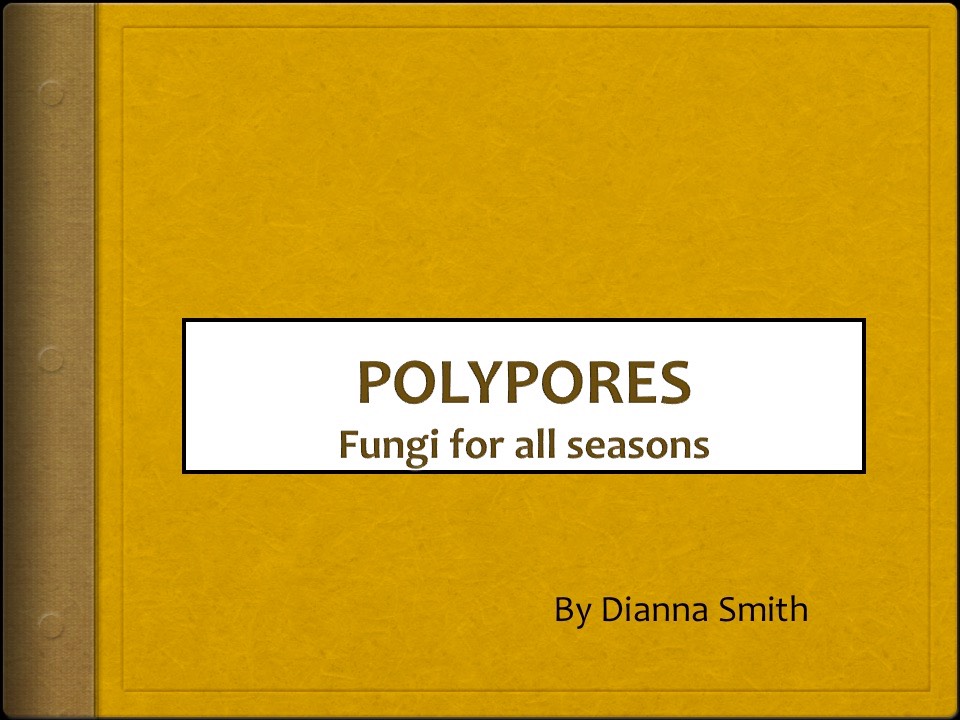 Slide01