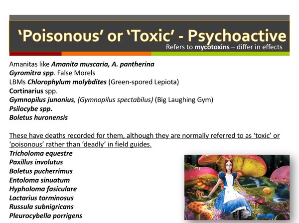 Slide012