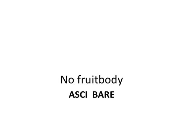 Slide012