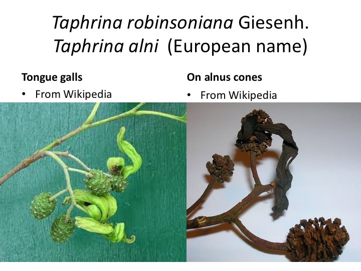 Slide013
