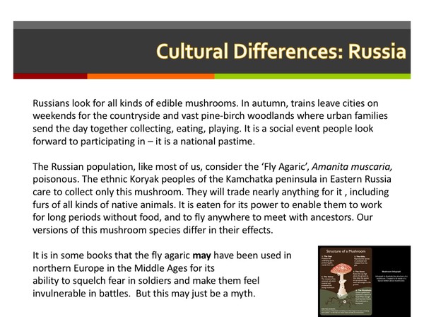 Slide016