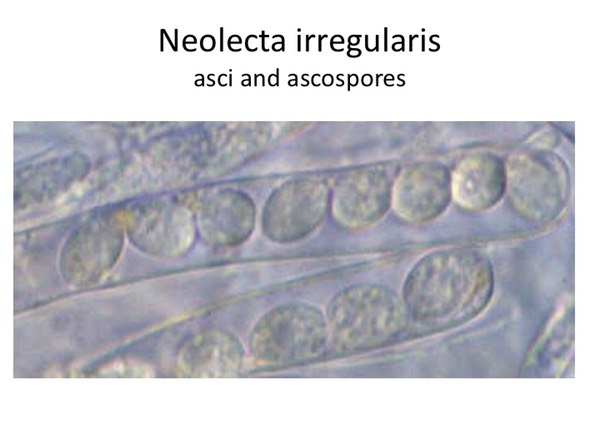 Slide016