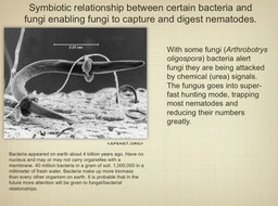 Slide016