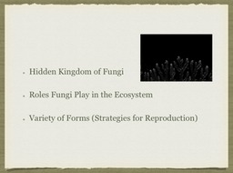 Slide02