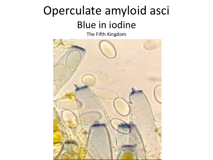 Slide020
