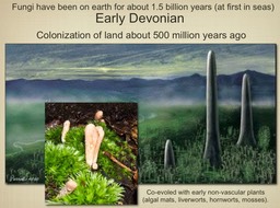 Slide022