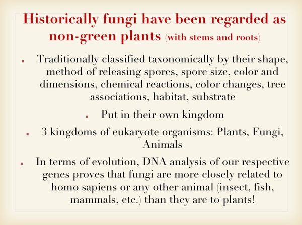 Slide023