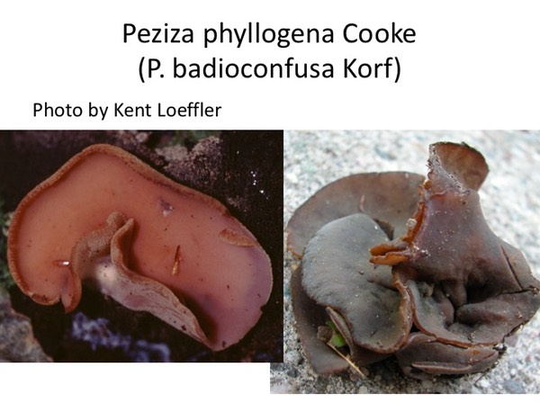 Slide023