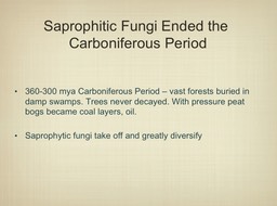 Slide023