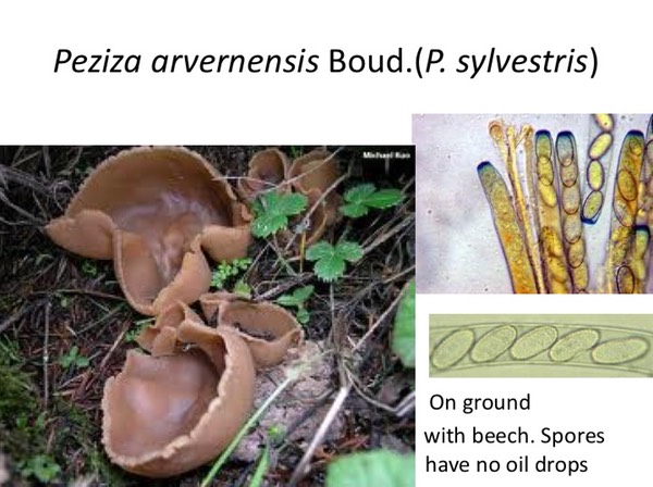 Slide024