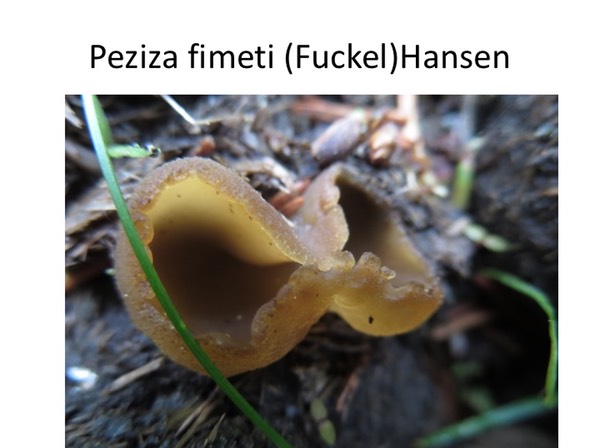 Slide025