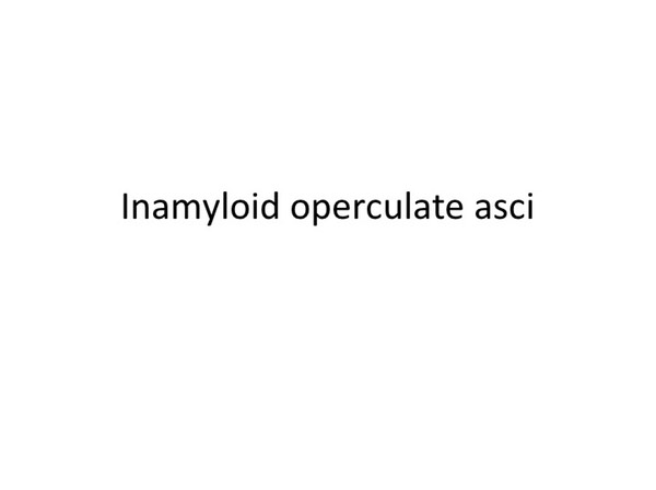 Slide026