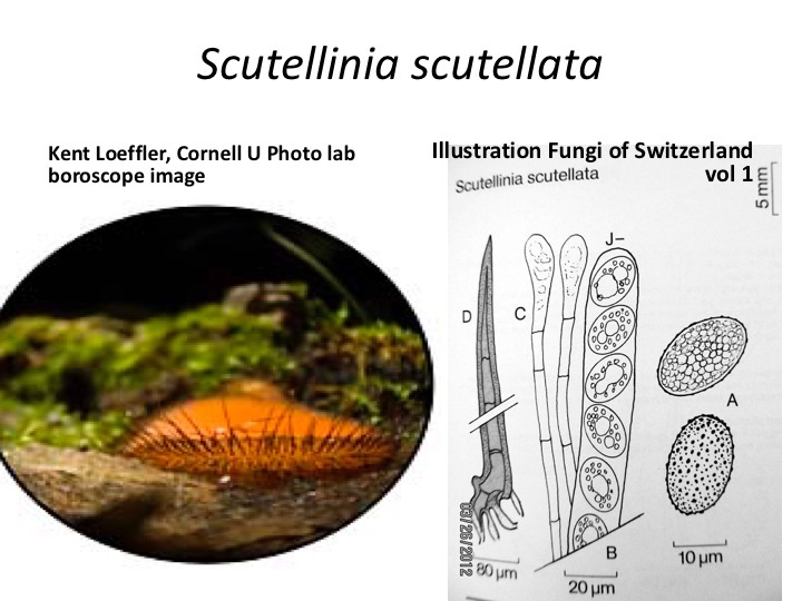 Slide028