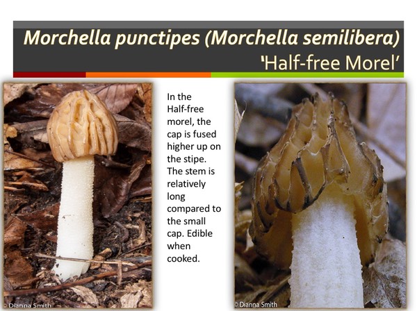 Slide029