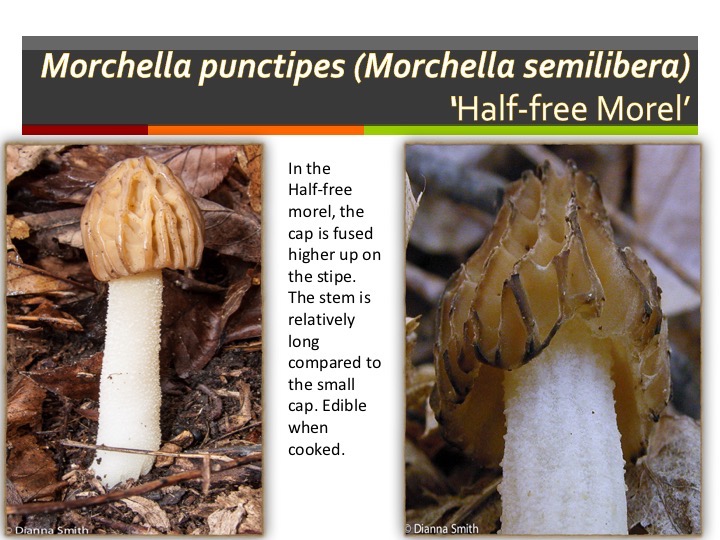 Slide029