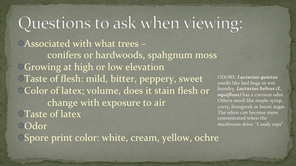 Slide03
