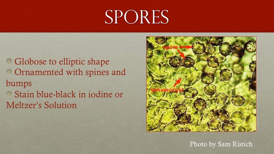 Slide03