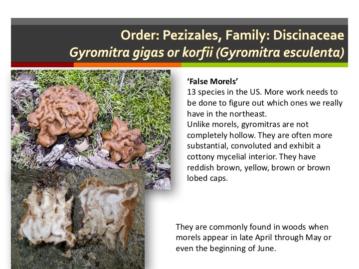 Slide032