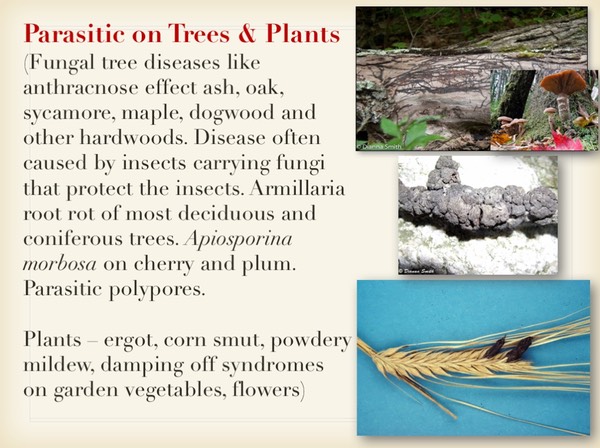 Slide033
