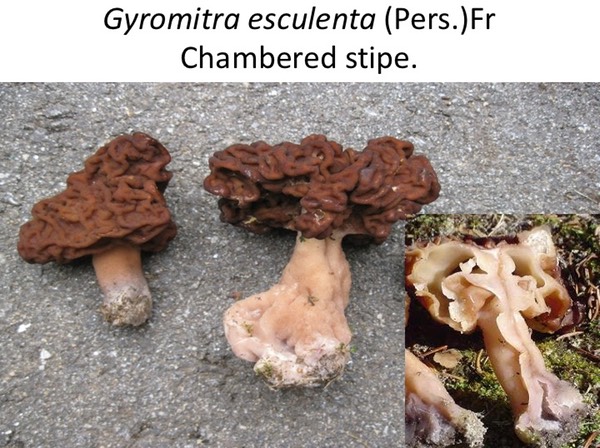 Slide034