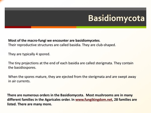 Slide035