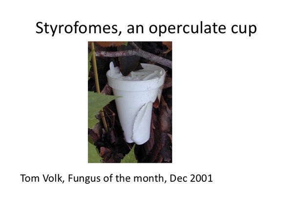 Slide039