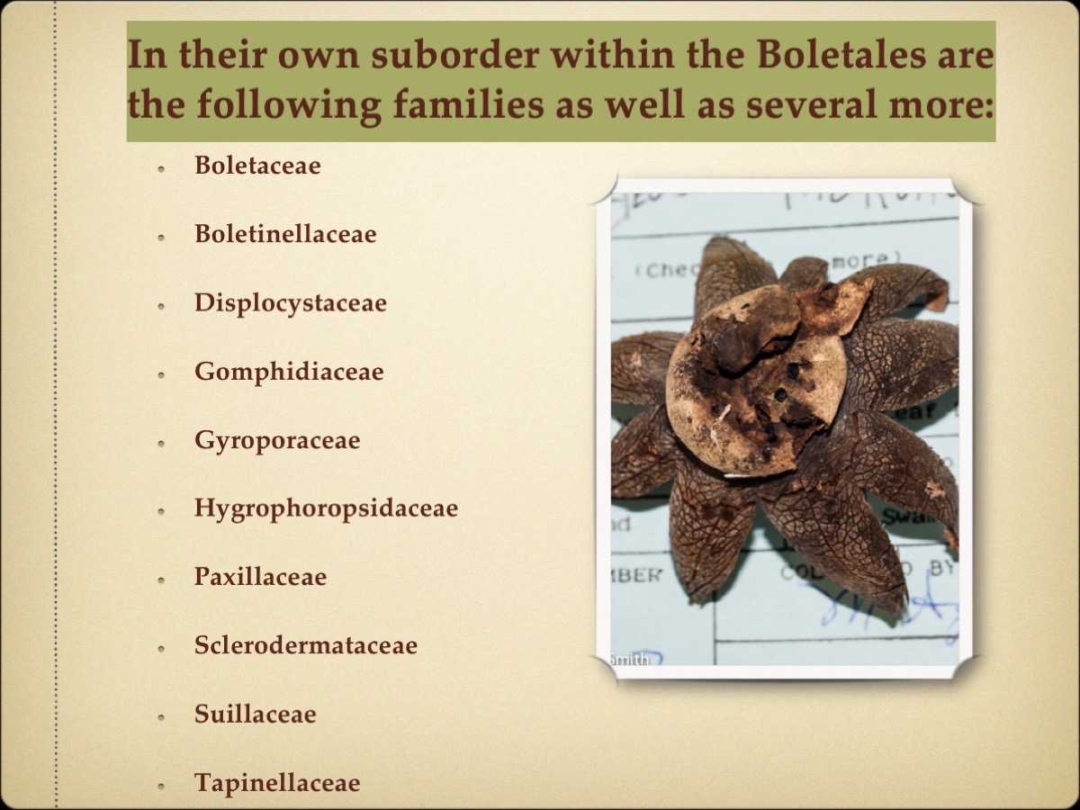 Slide04