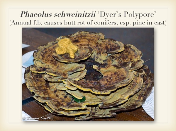 Slide040