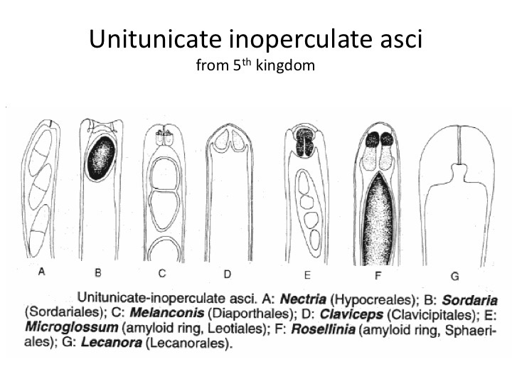 Slide041
