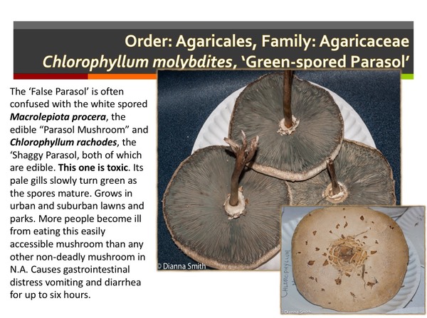 Slide046