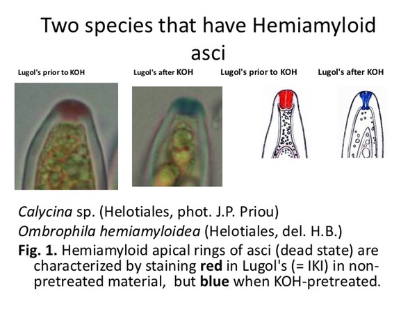 Slide046