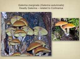 Slide046
