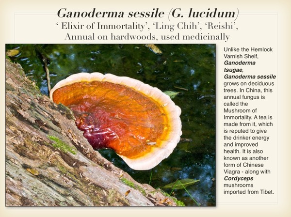 Slide048