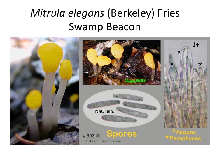 Slide049