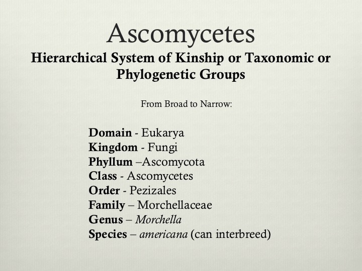 Slide05