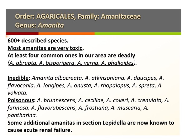 Slide052