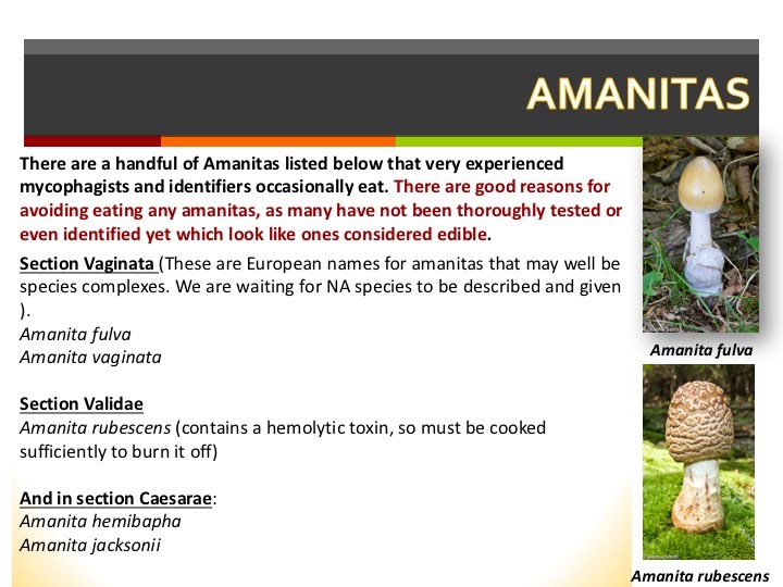 Slide054