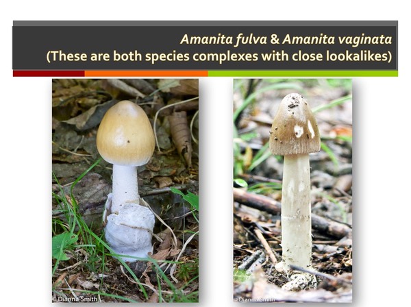 Slide055