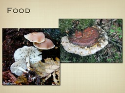 Slide06