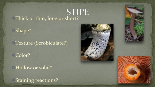 Slide06