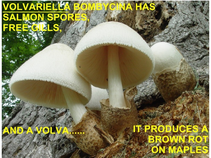 Slide06