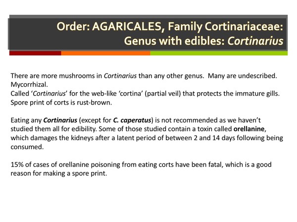 Slide060