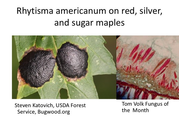 Slide060
