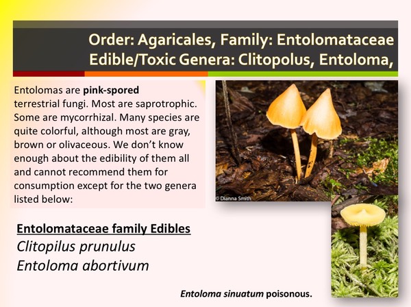 Slide065
