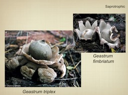 Slide078